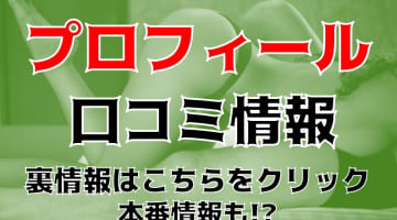 【体験談】奈良県の人気No.1デリヘル”プロフィール奈良”は関西トップレベル！料金・口コミを徹底公開！のサムネイル画像