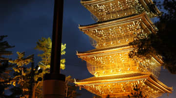  【体験レポ】善通寺のデリヘル”人妻熟女ファイル”で熟練のテクニックを堪能！料金・口コミ・本番情報を公開！のサムネイル画像