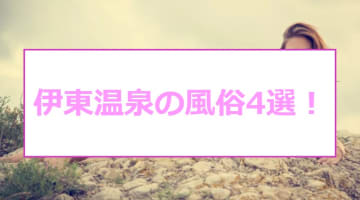 【本番情報】伊東温泉のおすすめ風俗店4選！10代ロリ系と生ハメ交渉体験談！【基盤/円盤/NN/NS】のサムネイル画像