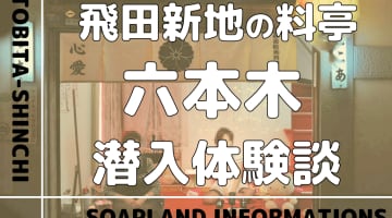 飛田新地の料亭”六本木”の潜入体験談！NN/NS情報・料金・遊び方を紹介！【2025年】のサムネイル画像