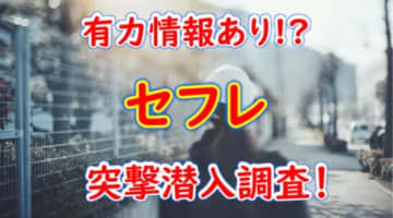 【決定版】愛知・豊橋でセフレの作り方！！ヤリモク女子と出会う方法を伝授！【2024年】のサムネイル画像