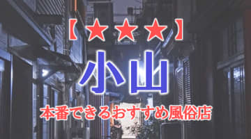【栃木県】小山で本番できる風俗店7選！のサムネイル画像