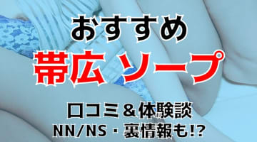 本番/NN/NS体験談！北海道・帯広のソープ3店を全40店舗から厳選！【2024年おすすめ】のサムネイル画像