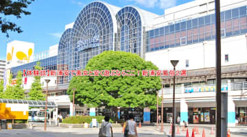 本番/NN/NSも？新浦安の風俗2店を全47店舗から厳選！【2025年】のサムネイル画像