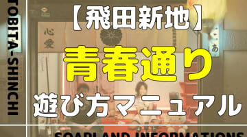 【飛田新地】青春通りの遊び方マニュアル！おすすめ料亭とNN/NS情報を紹介！のサムネイル画像