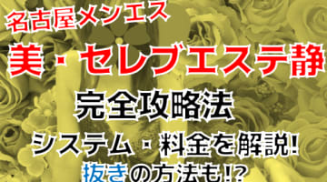 【閉店】名古屋で人気のメンズエステ"美・セレブエステ 静"の抜き・本番情報を調査！料金・口コミも紹介！のサムネイル画像