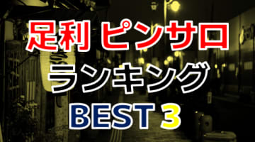 栃木県・足利のおすすめピンサロ・人気ランキングBEST3！【2025年最新】のサムネイル画像