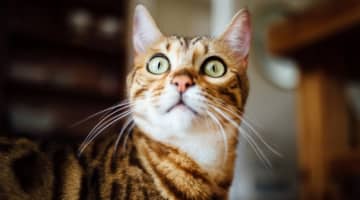 良かった体験談&最悪だった体験談を告白！珍事件もあるよ！のサムネイル画像