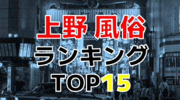 東京・上野のおすすめ風俗・人気ランキングTOP15【2024年最新】のサムネイル画像