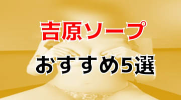 本番/NN/NSも？吉原のおすすめソープ5店を全130店舗から厳選！【2024年】のサムネイル画像