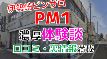 【2024年最新情報】群馬・伊勢崎のピンサロ”PM1（旧ペパーミント）”での濃厚体験談！料金・口コミ・本番情報を網羅！のサムネイル画像