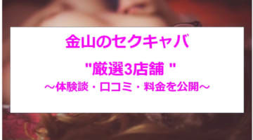 【本番・抜き情報】愛知・金山のセクキャバ人気ランキング3選！【2024年】のサムネイル