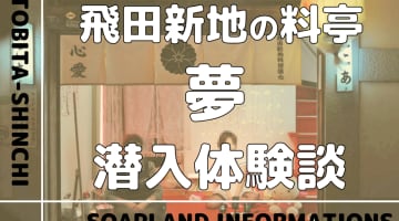 飛田新地の料亭”夢”の潜入体験談！NN/NS情報・料金・遊び方を紹介！【2025年】のサムネイル画像