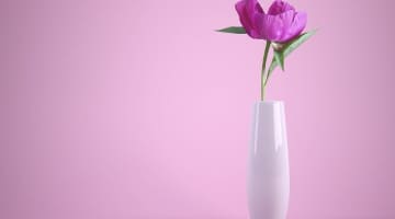 SM用語の肉花瓶って知ってる？やり方を伝授！耽美な世界を覗いてみない？のサムネイル画像