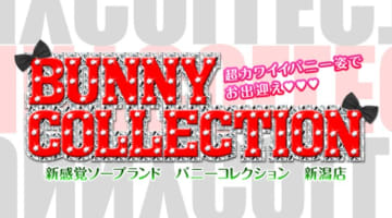 【体験談】新潟県のソープ"バニーコレクション"でNN/NSはあり!?料金・口コミを公開！のサムネイル画像