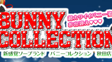 【秋田・ソープ】バニーコレクションへの潜入体験談！NN/NS情報と総額・口コミを紹介！【2025年】のサムネイル画像