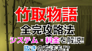 【2024年最新情報】西明石のメンズエステ"竹取物語"で爆乳娘相手に理性崩壊!?料金・口コミ・本番情報を公開！のサムネイル画像