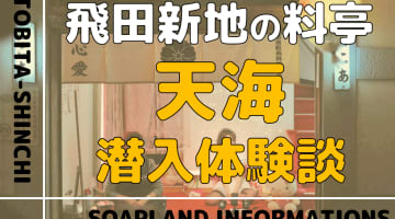 飛田新地の料亭”天海”の潜入体験談！NN/NS情報・料金・遊び方を紹介！【2026年】のサムネイル画像