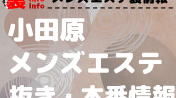 【小田原】本番・抜きありと噂のおすすめメンズエステ9選！【基盤・円盤裏情報】！のサムネイル画像