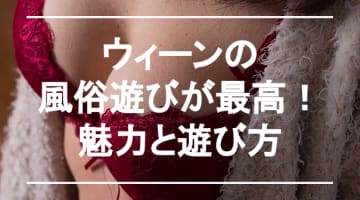 【実録】ウィーンは“音楽の都”？いや“風俗の都”でしょ！多彩なジャンルと遊び方のサムネイル画像