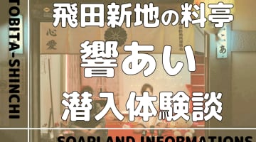 飛田新地の料亭”響あい”の潜入体験談！NN/NS情報・料金・遊び方を紹介！【2025年】のサムネイル画像