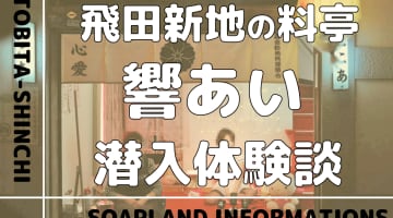 飛田新地の料亭”響あい”の潜入体験談！NN/NS情報・料金・遊び方を紹介！【2024年】のサムネイル