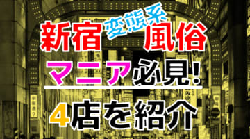 【2024年裏情報】本番あり？東京新宿の変態系風俗店TOP4！爆乳痴女相手に大放出！のサムネイル