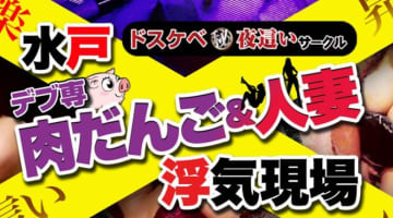 【体験談】水戸のヘルス”水戸デブ専肉だんご＆人妻浮気現場”はデブ専必見！料金・口コミを公開！のサムネイル画像