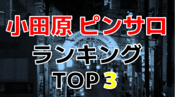 神奈川・小田原のおすすめピンサロ・人気ランキングBEST3！【2024年最新】のサムネイル画像