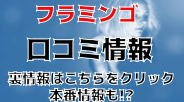 【体験レポ】川崎のピンサロ”フラミンゴ”でKちゃんのエロさに即イキ！料金・口コミを徹底公開！のサムネイル画像