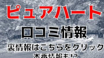 【体験談】那須塩原のデリヘル"那須塩原ピュアハート"で最高のマンゾクが見つかる！料金・口コミを公開！のサムネイル画像