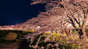 志保の水着姿が見たい！ビキニ画像はある？現在・インスタまとめ！[画像集]のサムネイル画像