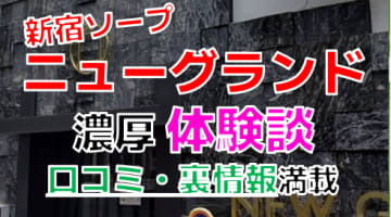 【2024年最新情報】東京・新宿のソープ"ニューグランド"での濃厚体験談！料金・口コミ・おすすめ嬢・本番情報を網羅！のサムネイル画像