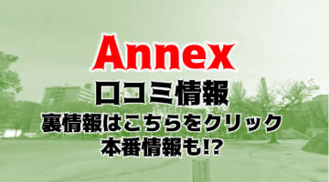 【体験レポ】名古屋のハプニングバー"Annex"は女性も多い！料金・アクセスを公開！のサムネイル画像