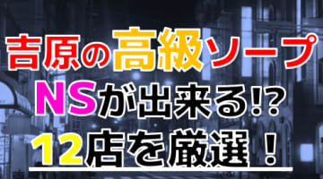 【2024年本番情報】吉原で実際に遊んだ高級ソープ12選！本当にNS・NNが出来るのか体当たり調査！のサムネイル画像