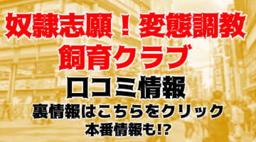 【体験談】大阪・日本橋のデリヘル”奴隷志願！変態調教飼育クラブ本店”で変態プレイ！料金・口コミを徹底公開！のサムネイル画像