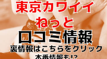 【裏情報】”東京カワイイねっと 福島店”はプレイ教育を実施済のデリヘル！料金・口コミを公開！のサムネイル画像