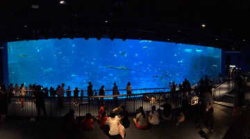 シンガポールの水族館シーアクアリウムってどんなところ？割引チケット取得方法・営業時間の解説！のサムネイル