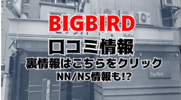【裏情報】NNあり？川崎のソープ"BIGBIRD(ビッグバード)"で超絶テク！料金・口コミを公開！のサムネイル画像