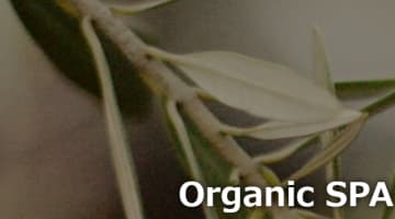 【目黒・メンズエステ】Organic SPAへの潜入体験談！抜き・本番情報と口コミを紹介！【2025年】のサムネイル画像