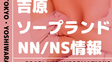 吉原でNS/NNできるソープランドまとめ！【全111店舗】のサムネイル