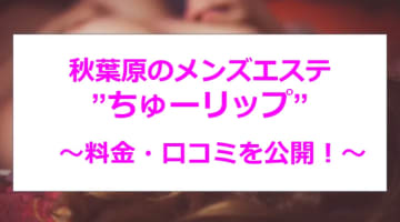 【裏情報】秋葉原のメンズエステ"ちゅーリップ"の抜き・本番情報を調査！料金・口コミも紹介！のサムネイル画像