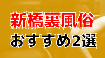 本番/NN/NS体験談！新橋の裏風俗2店を全356店舗から厳選！【2024年】のサムネイル画像