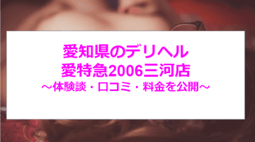 【裏情報】愛知県のデリヘル”愛特急2006三河店”で極上美女が大絶頂！料金・口コミを公開！のサムネイル画像