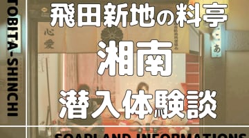 飛田新地の料亭”湘南”の潜入体験談！NN/NS情報・料金・遊び方を紹介！【2024年】のサムネイル画像