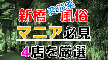 【2024年裏情報】本番アリ？東京・新橋の変態系風俗店4選！極上S系女性の隠語に大興奮！のサムネイル画像