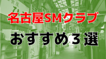 本番体験談！名古屋のおすすめSMクラブ3店を全10店舗から厳選！【2025年】のサムネイル画像