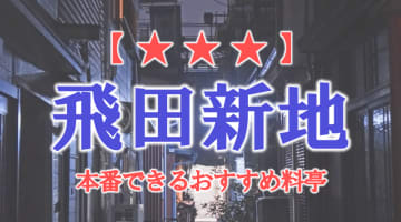 【初心者必見】飛田新地は本番セックスし放題！初めてでも安心な流れ・料金・おすすめ料亭を徹底解説のサムネイル画像