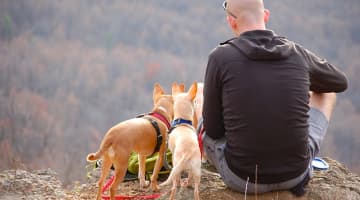 クロちゃんが病気で入院レベル？食事がやばい？現在の病状は？結婚は？年齢は？のサムネイル画像