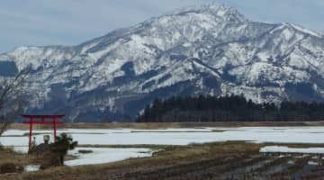 新潟県の御朱印はデザインが斬新！神社・お寺とその魅力をご紹介！のサムネイル画像